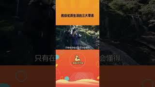 教你优质生活的三个准则