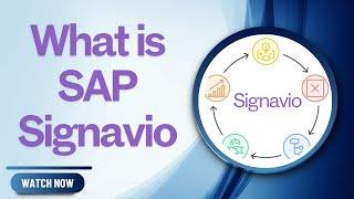 What is SAP Signavio?