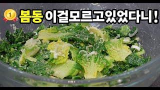 모든나물반찬은 이것 하나면 끝세상편하고 역대급으로 맛있습니다