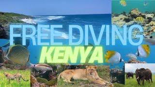 Exploring Coastal Kenya: Epic Freediving & Marine Life