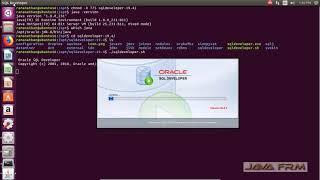 Oracle SQL Developer 19.4 Installation on Ubuntu 16.04 LTS and connect Oracle Database 19c