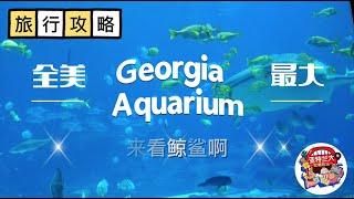 【旅行攻略】佐治亚小骄傲Georgia Aquarium：全美最大水族馆，来看鲸鲨吧！