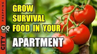 25 Survival Vegetables To Grow In Your Apartment (pt1)