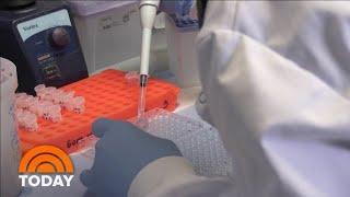 Oxford Team May Lead In Race To Find A Coronavirus Vaccine | TODAY