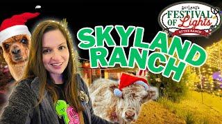 Skyland Ranch’s Magical Festival of Lights: Food, Fun, and Live Music!