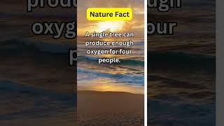 Nature Facts #factfiles #shortsfeed#shorts #viralvideo