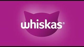Реклама Whiskas — Жизнь замурррчательна (2021)