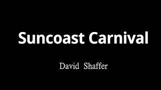 Suncoast Carnival 陽光海岸 - David Shaffer