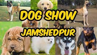 Jamshedpur Dog Show 2020 |Nsr vlogs