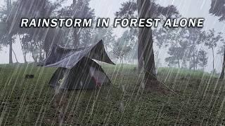 Solo Camping in the Heavy Rainstorm [relaxing rain camping in the forest, natural rain sounds, ASMR]