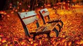 ASMR soundscape   Cozy Autumn Porch Ambience rustling leaves, candy wrappers, evening sounds