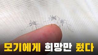 피 먹고 싶은 모기에게 희망만 줬습니다