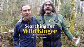 Snake Root Medicine | Wild Ginger with Herbal guest Sean Donahue | Harmonic Arts