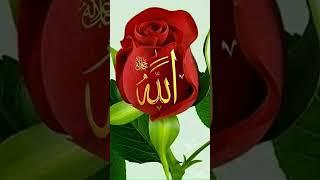 3 June 2025