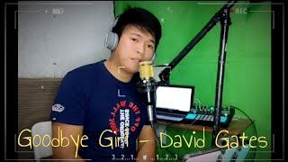Goodbye Girl - Aaron Lapus Cover | by David Gates