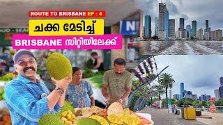 |ചന്തയിൽ പോയി   ചക്ക മേടിച്ച്  Brisbane സിറ്റിയിലേക്ക് | asian market in brisbane