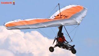 CEFICS RC Hang Gliders and Paragliders | ProWing Show 2024