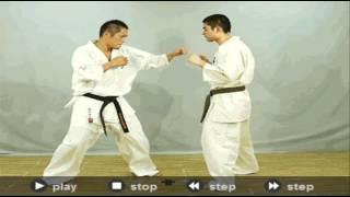 kyokushin karate wheel kick