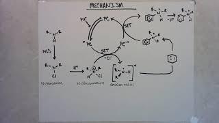 Photochemical C-H Amination through in situ Chloroamines - Leonori