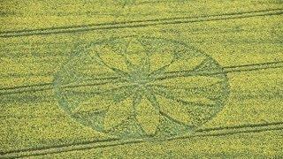 Crop Circle 2012 12 petalled lotus flower, 1st crop circle of the year