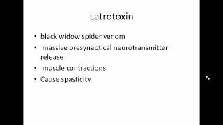 How neurotoxins affect our body