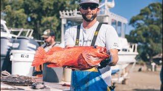 Bringing local fish back to Shelter Cove | Fisherman Jake Mitchell