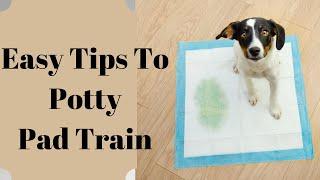 Potty Pad Training Made Easy: Teach Your Puppy To Use Pads