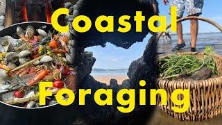 How to find your own food along the UK coast | Coastal Foraging | Sustainable Travel