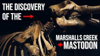 Discovery Of The Marshalls Creek Mastodon In Pennsylvania