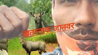 बंदर के पहरेदारी करता हूं  my first vlog viral kaise kare my first vlog viral video