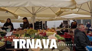 Slovakia 4K in 2024 - walking around Trnava (Unedited)