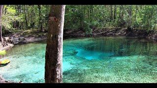 We FOUND BIG BLUE on the WITHLACOOCHEE River