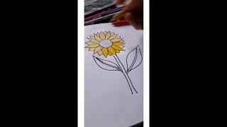 Beautiful Sunflower  | Funny Mania