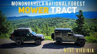 EPIC Views in West Virginia | Old Mine Rd & The Mower Tract | Monongahela National Forest Overland