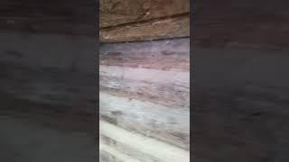 дом из дерева сруб#своими  руками