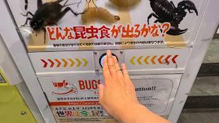 7 Amusing Japanese Vending Machines