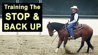 How to Train Your Horse to Stop & Back Up - Reining & Cutting Horse Stop