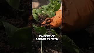 BuildASoil 3.0 Recipe Revealed – Ingredients for Perfect Growth!  #OrganicGardening #soilmatters