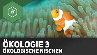 Umweltfaktoren und Ökologische Nischen - Ökologie 3