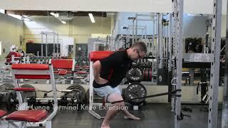 Terminal Knee Extension Progressions