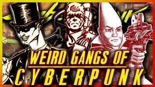 Cyberpunks Weirdest Gangs | FULL Cyberpunk 2020 RED Gang Lore