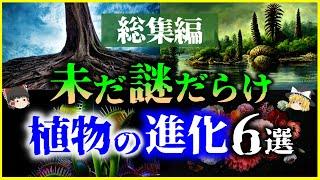 【ゆっくり解説】【総集編】ガチで眠れなくなる「植物進化」の謎6選を解説/陸上進出、寿命、種子、花、食虫植物【作業用】【睡眠用】