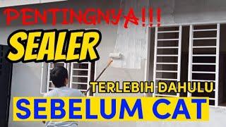 Fungsi " SEALER" pada dinding sebelum mengecat cat warna pilihan anda???