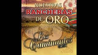 Los caminantes Rancheras mix 2021