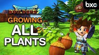 Growing Trees & Plants | Item Compendium 100% | Dragon Quest Builders 2