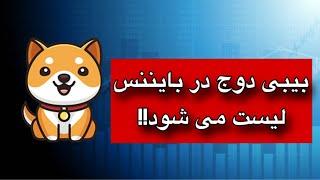 بیبی د‌وج کوین در بایننس لیست می شود!!