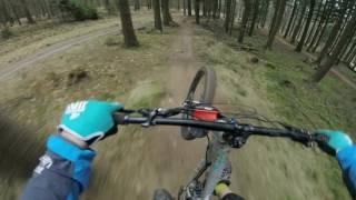 Bikepark Beerfelden - die flacheren Strecken [ XC / ENDURO ]