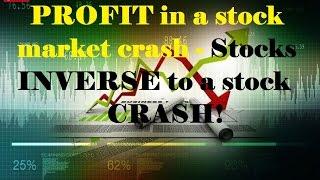 how to protect wealth in a stock market crash - inverse ETF tutorial