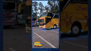 Bus Sempati Star Medan - Jakarta #busmania #basuri #shorts