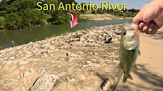 Chasing Bass on The San Antonio River